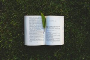 7 Books to Read If You Want to Understand Addiction Better and Build a Better Life