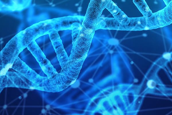 dna-thread dna-thread
