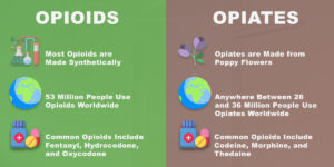 opiates vs opioids 
