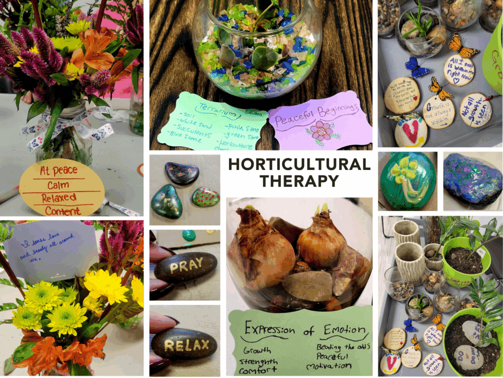 Horticultural Therapy group