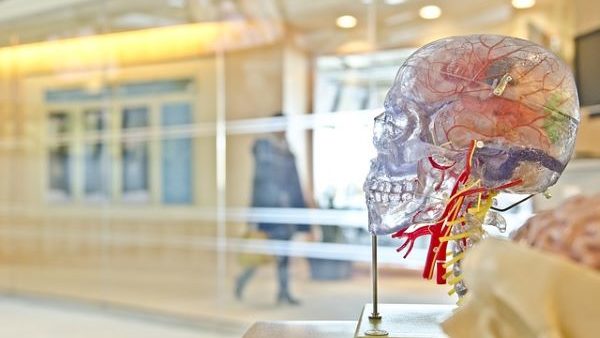 Mental Health, Co-occurring Disorders
